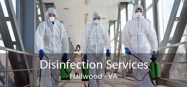 Disinfection Services Hallwood - VA