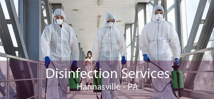 Disinfection Services Hannasville - PA