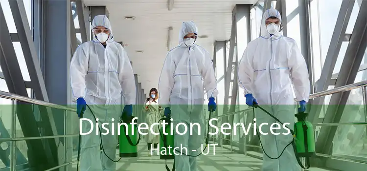 Disinfection Services Hatch - UT