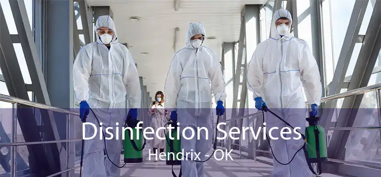 Disinfection Services Hendrix - OK