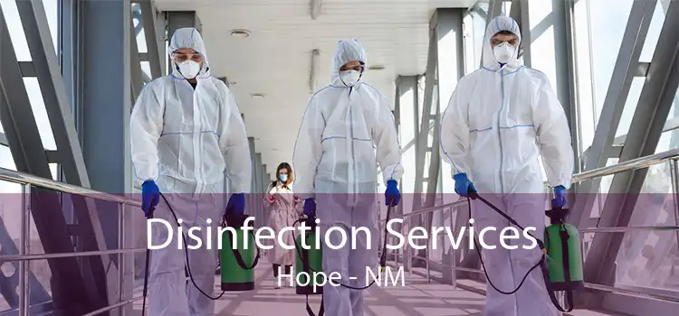 Disinfection Services Hope - NM