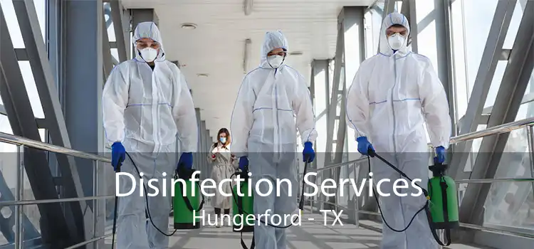 Disinfection Services Hungerford - TX