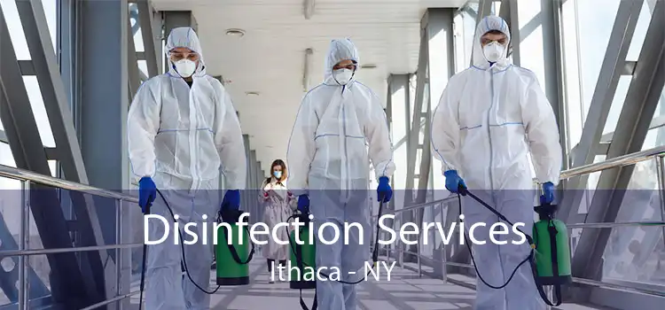 Disinfection Services Ithaca - NY