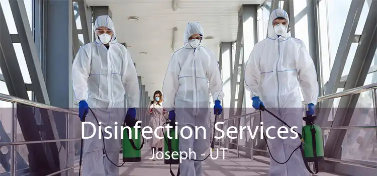 Disinfection Services Joseph - UT
