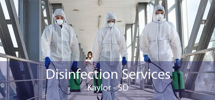 Disinfection Services Kaylor - SD