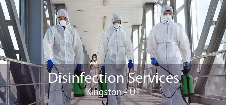 Disinfection Services Kingston - UT
