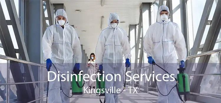 Disinfection Services Kingsville - TX