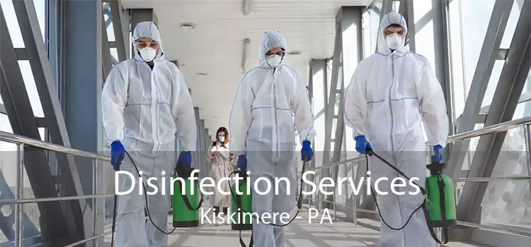 Disinfection Services Kiskimere - PA