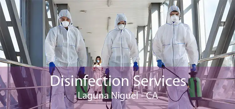 Disinfection Services Laguna Niguel - CA