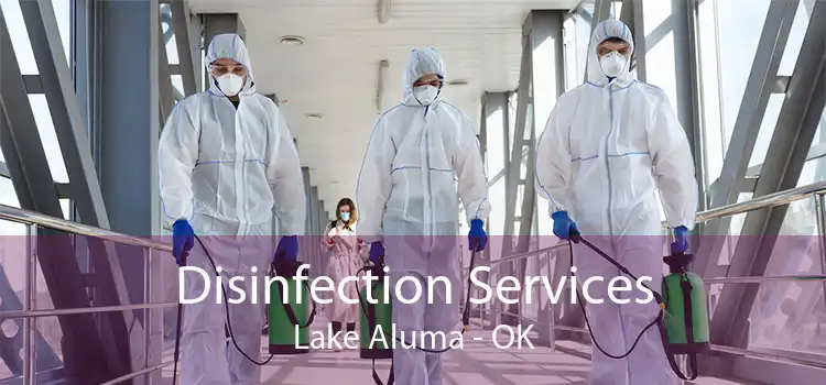 Disinfection Services Lake Aluma - OK