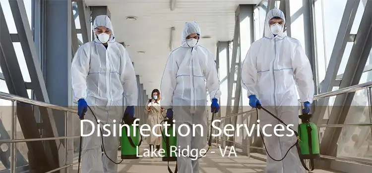 Disinfection Services Lake Ridge - VA