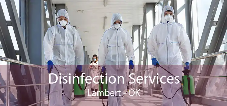 Disinfection Services Lambert - OK