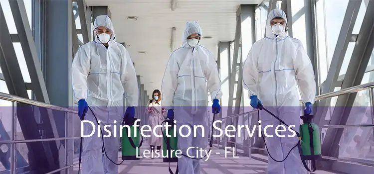 Disinfection Services Leisure City - FL