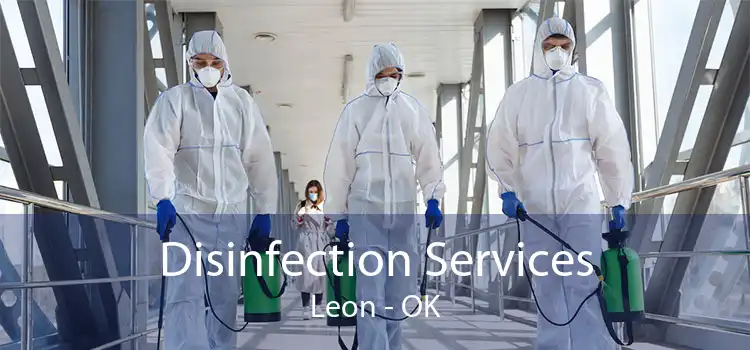 Disinfection Services Leon - OK