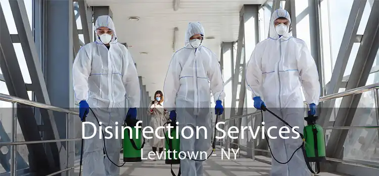 Disinfection Services Levittown - NY