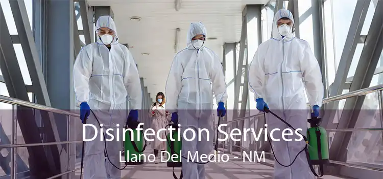 Disinfection Services Llano Del Medio - NM