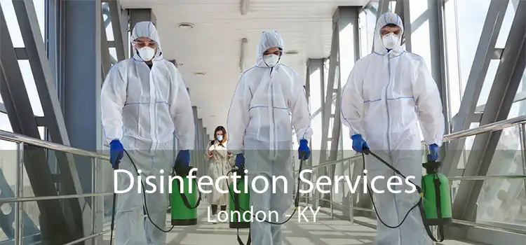 Disinfection Services London - KY