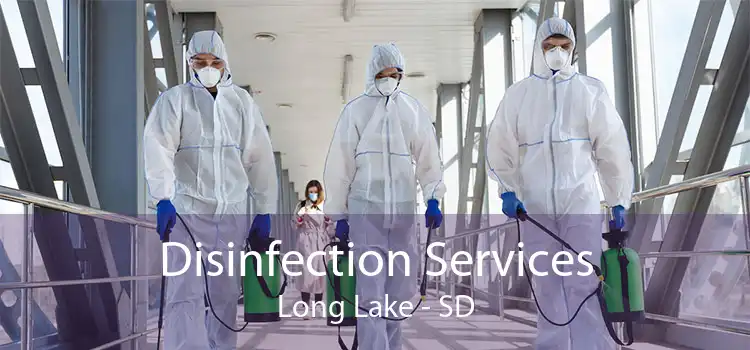 Disinfection Services Long Lake - SD