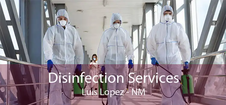 Disinfection Services Luis Lopez - NM