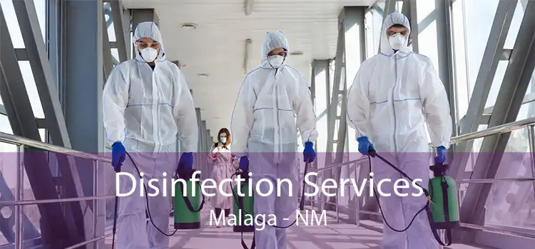 Disinfection Services Malaga - NM