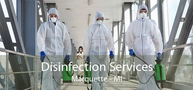 Disinfection Services Marquette - MI