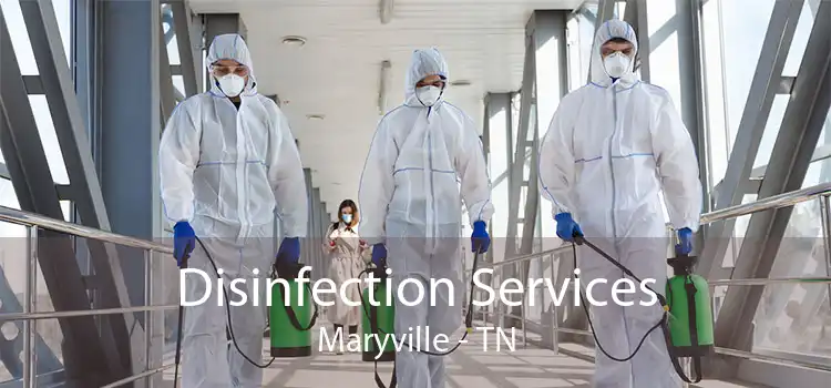 Disinfection Services Maryville - TN