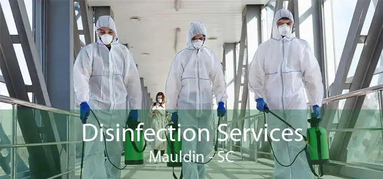 Disinfection Services Mauldin - SC