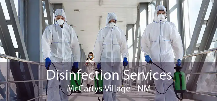 Disinfection Services McCartys Village - NM
