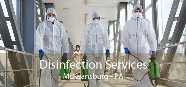 Disinfection Services McKeansburg - PA