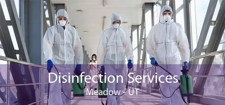 Disinfection Services Meadow - UT