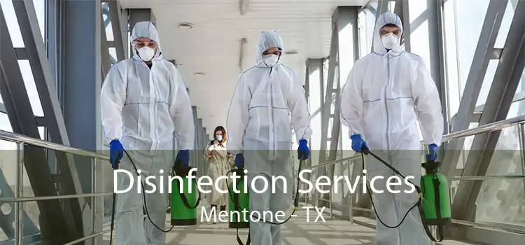 Disinfection Services Mentone - TX