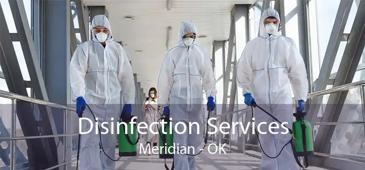 Disinfection Services Meridian - OK