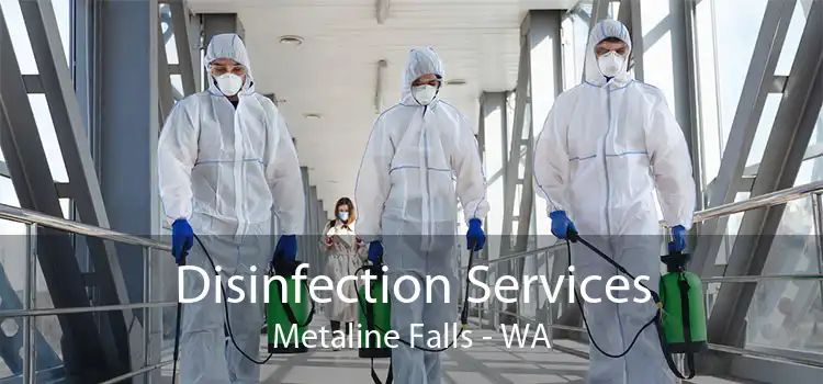 Disinfection Services Metaline Falls - WA