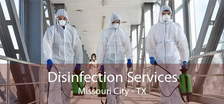 Disinfection Services Missouri City - TX