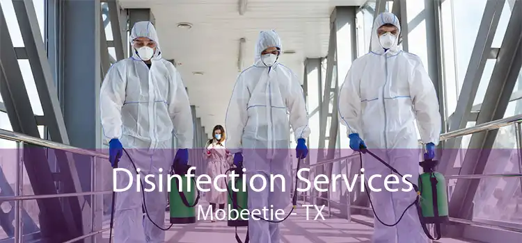 Disinfection Services Mobeetie - TX