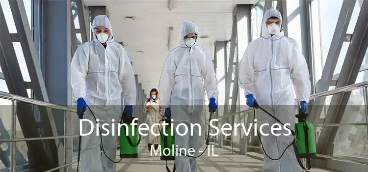 Disinfection Services Moline - IL