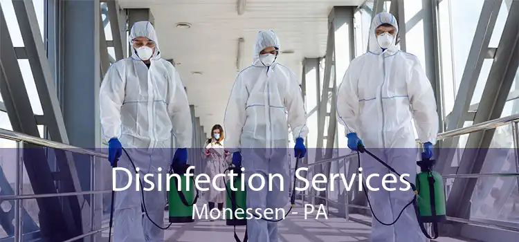 Disinfection Services Monessen - PA