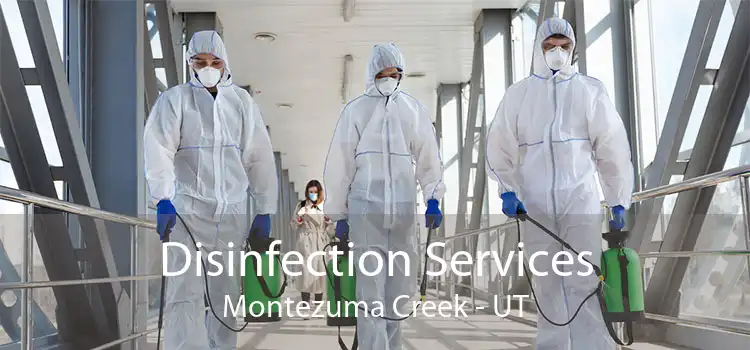 Disinfection Services Montezuma Creek - UT