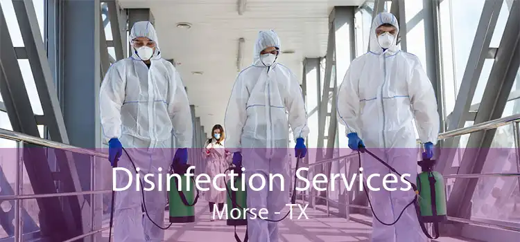 Disinfection Services Morse - TX