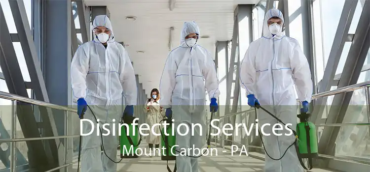 Disinfection Services Mount Carbon - PA