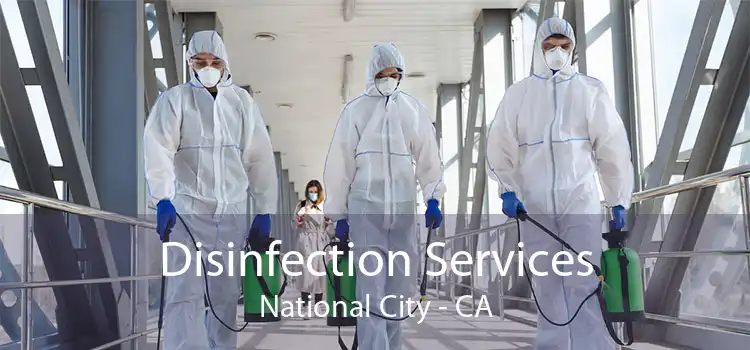 Disinfection Services National City - CA