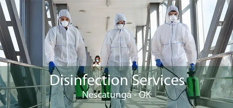 Disinfection Services Nescatunga - OK