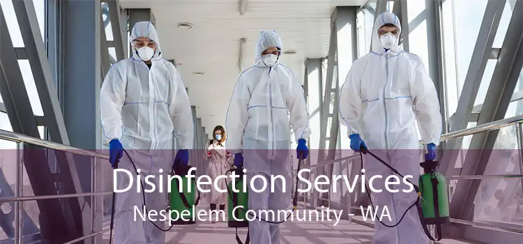 Disinfection Services Nespelem Community - WA