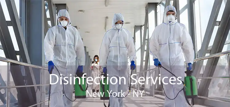 Disinfection Services New York - NY