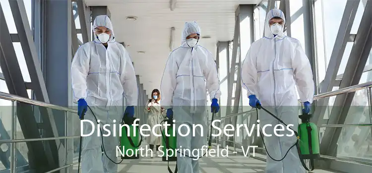 Disinfection Services North Springfield - VT
