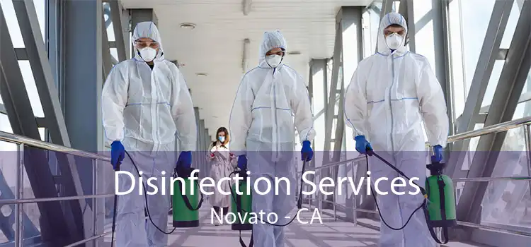 Disinfection Services Novato - CA