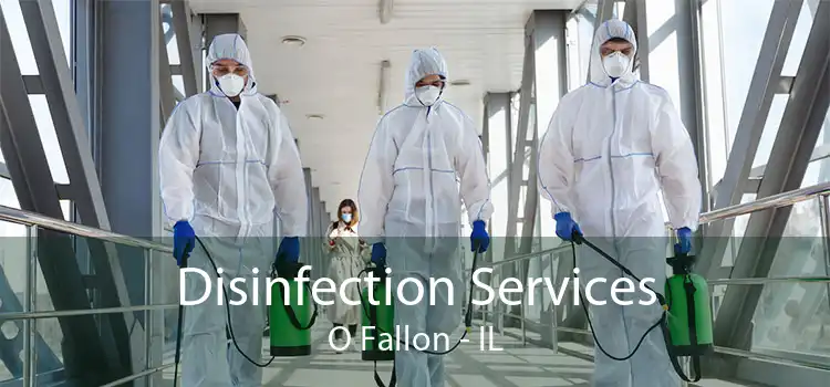 Disinfection Services O Fallon - IL
