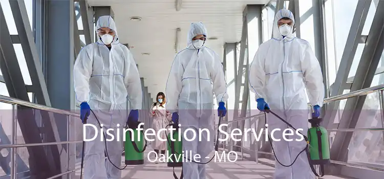 Disinfection Services Oakville - MO