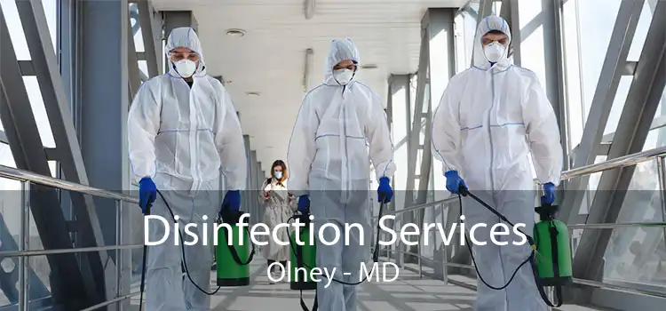 Disinfection Services Olney - MD
