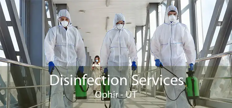 Disinfection Services Ophir - UT